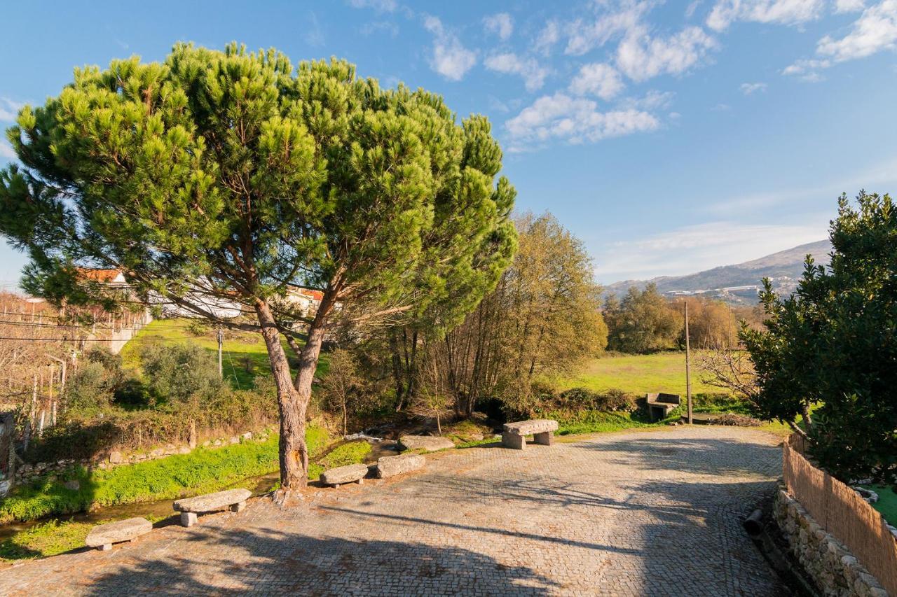Casa Do Loureiro 1 - Seia - Serra Da Estrela Buitenkant foto